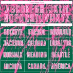 Camiseta de fútbol sublimada verde rosa y blanca personalizada Kelly