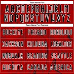 Camiseta de fútbol roja fluida abstracta, negra y blanca, uniforme de sublimación personalizado